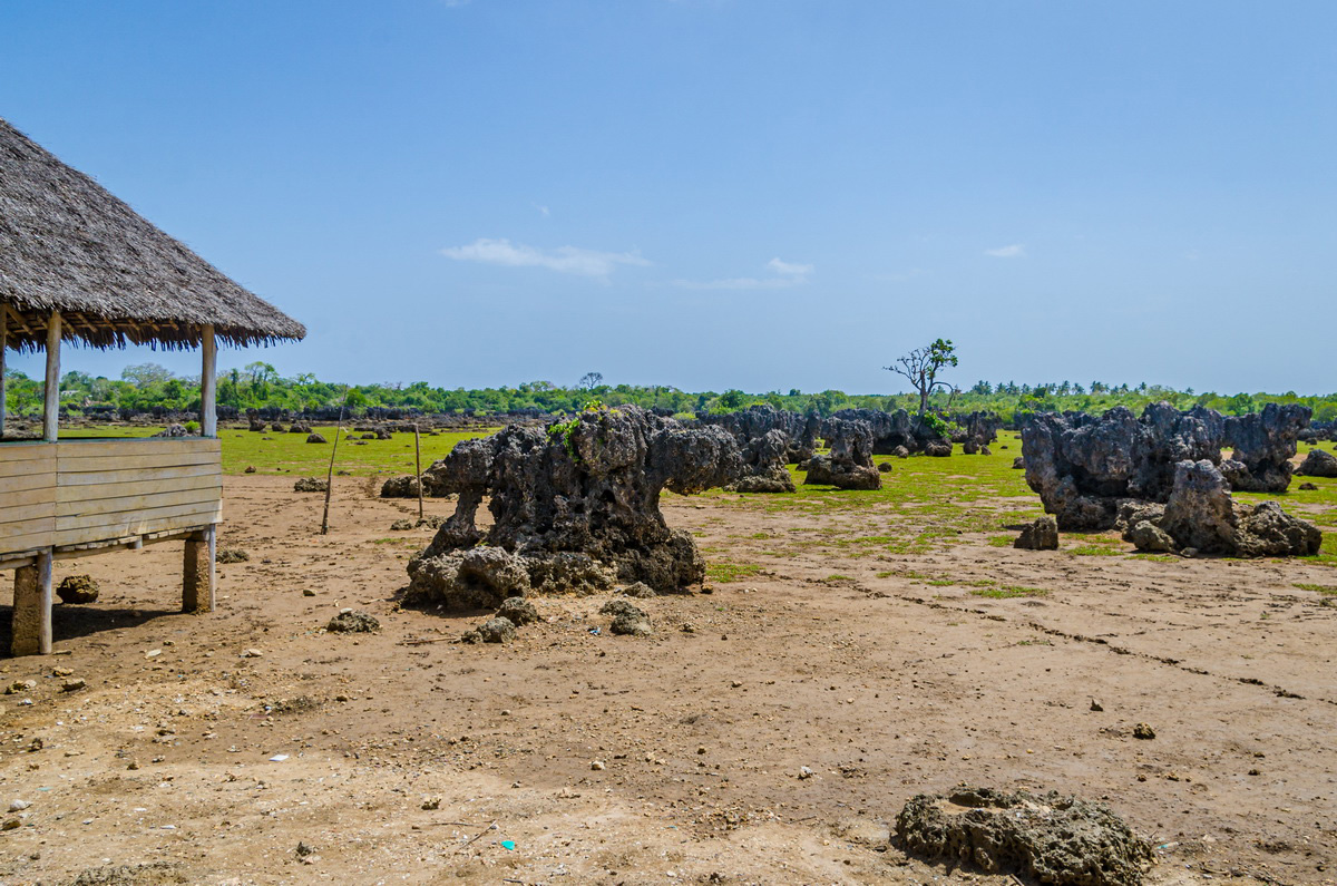 Ostrovní dobrodružství: Ksite Island a Wasini – zážitek jako z pohádky!